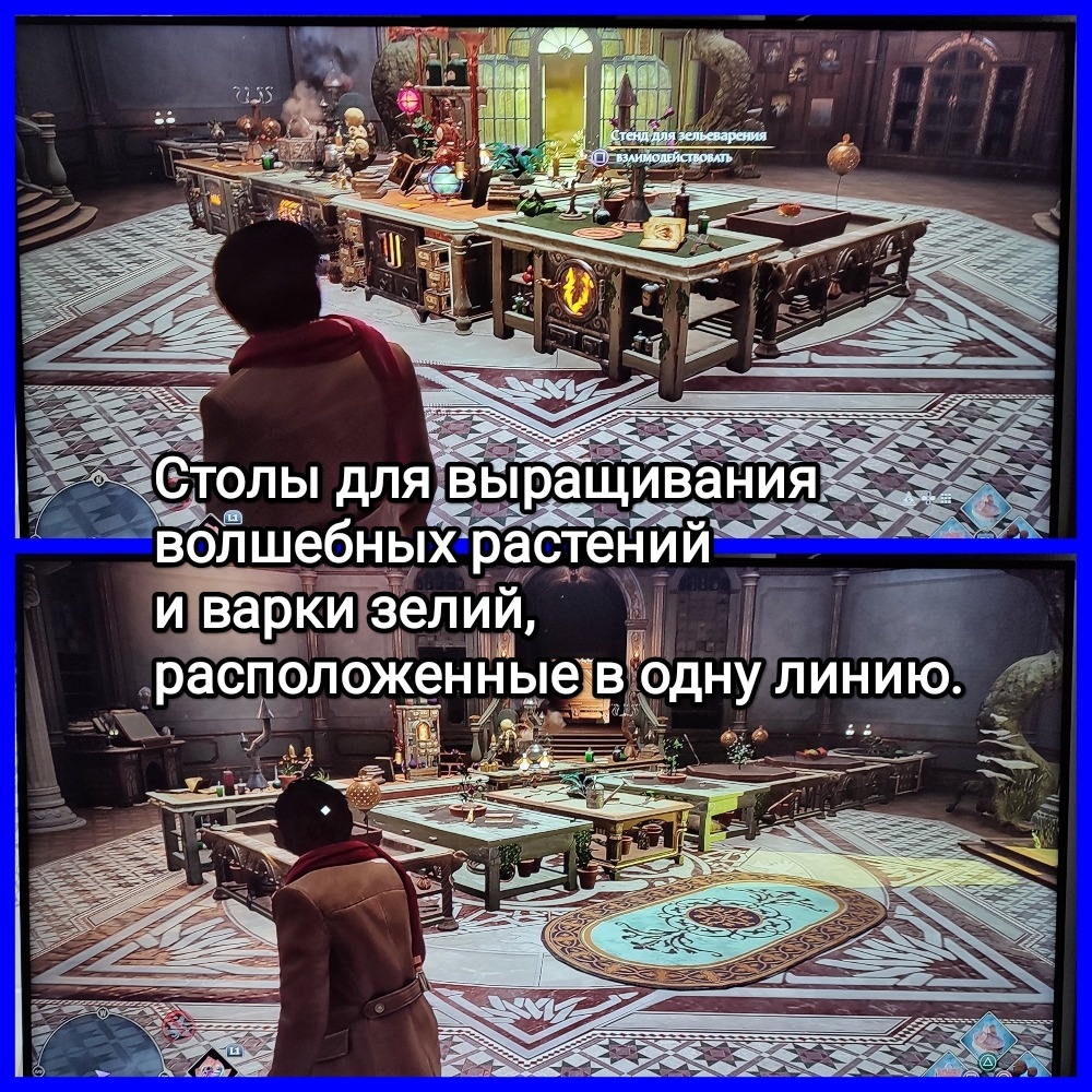 На фото обработанный мной скрин из игры "Хогвартс. Наследие" ("Hogwarts Legacy"), 2023г., разработчик Avalanche Software, издатель Warner Bros. Games, руководитель Алан Тью, продюсер Джеймс Кабрера. Скрин обработан и демонстрирует общий визуальный фон игры, а так же расположение столов для варки зелий и выращивания растений в "Выручай комнате". Подробнее об этом рассказано в статье. Все материалы принадлежат правообладателям и размещены исключительно в информационных целях.