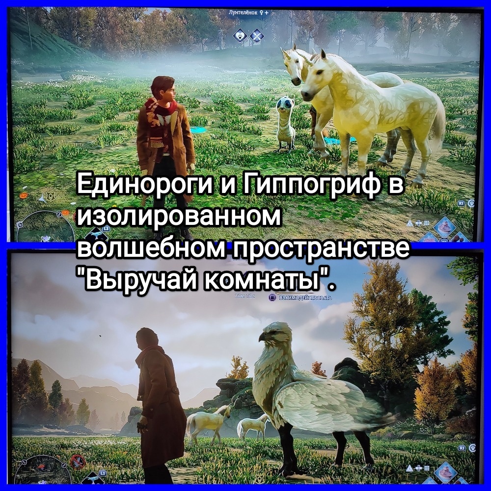 На фото обработанный мной скрин из игры "Хогвартс. Наследие" ("Hogwarts Legacy"), 2023г., разработчик Avalanche Software, издатель Warner Bros. Games, руководитель Алан Тью, продюсер Джеймс Кабрера. Скрин обработан и демонстрирует общий визуальный фон игры, а так же пространство, где содержатся волшебные животные в Выручай комнате. Подробнее об этом рассказано в статье. Все материалы принадлежат правообладателям и размещены исключительно в информационных целях.