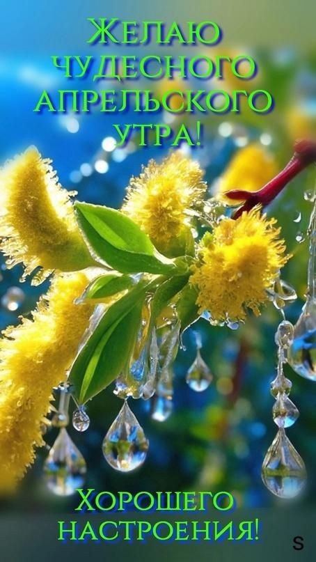 Фото из интернета.