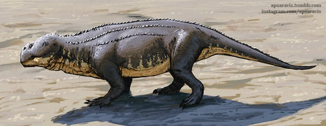 Ховезия в естественной среде.