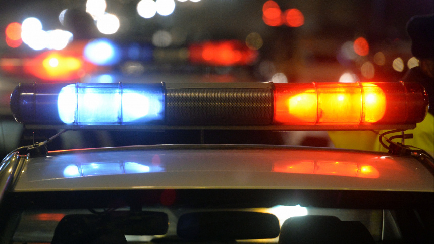    Фото: © РИА Новости/Илья Наймушин; 5-tv.ru