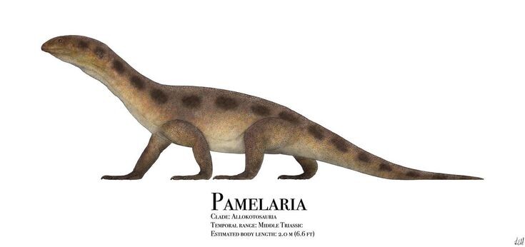 Памелария. Арт с небольшим описанием.