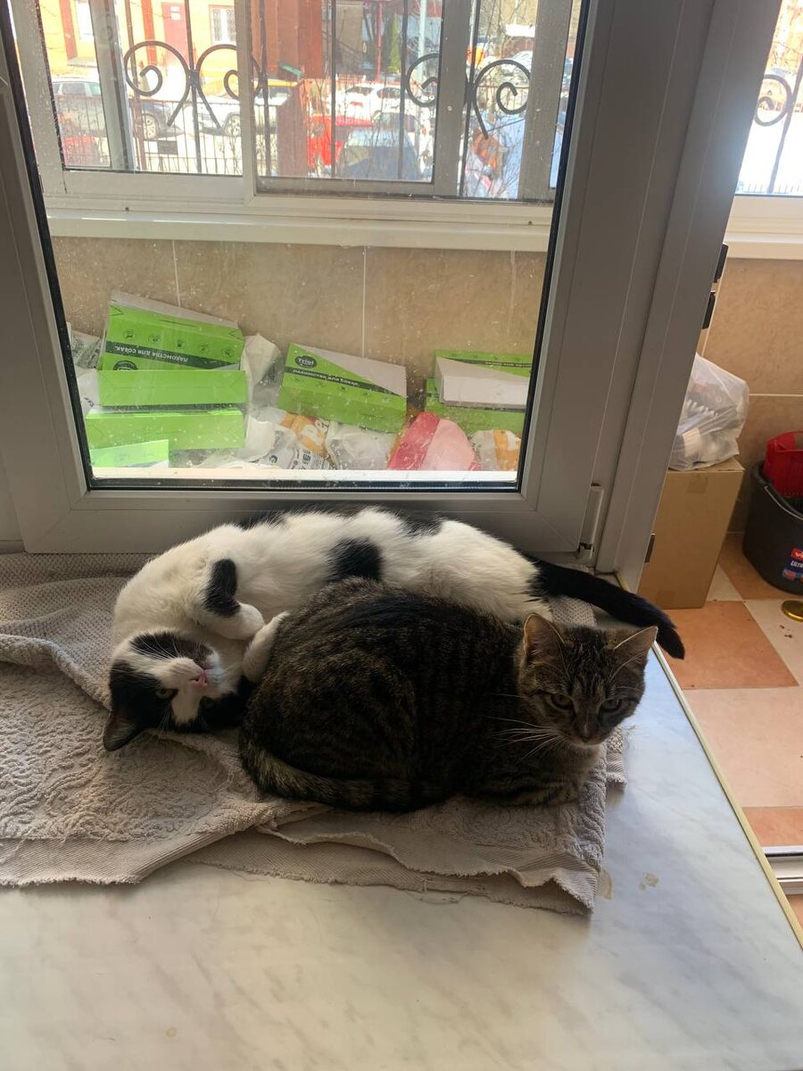 Группа поддержки Феденьки