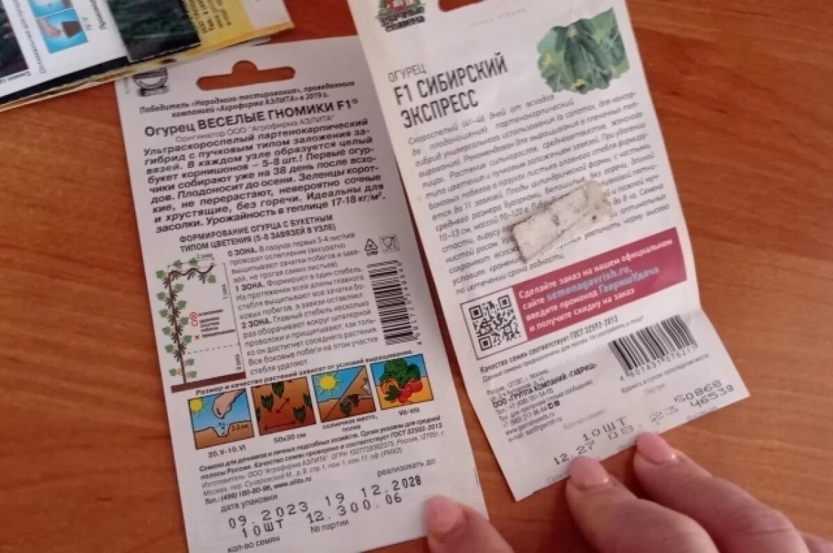    Все тыквенные культуры - огурцы, кабачки и тыквы - хранятся и всходят лучше, когда уже «в возрасте».