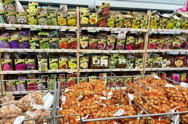    Вариантов того, что можно вырастить у себя в огороде, стало множество. Фото:  АиФ/ Анна Городкова