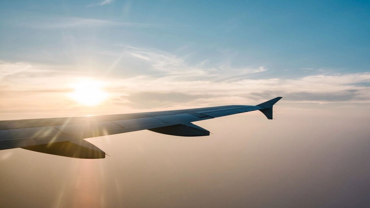     Источник: freepik.com