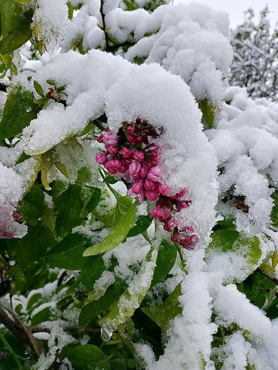 Утро 13.04.2025 в Агое.