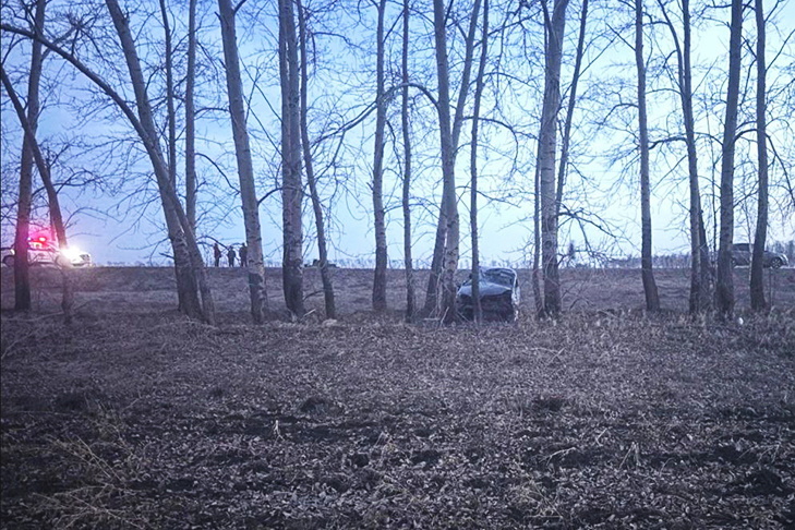    Фото: Госавтоинспекция Новосибирска