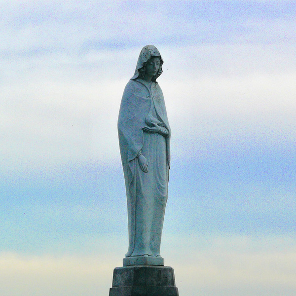 Источник: cdn1.ozone.ru