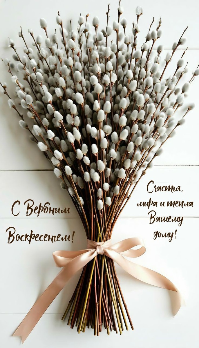 Фото из интернета 