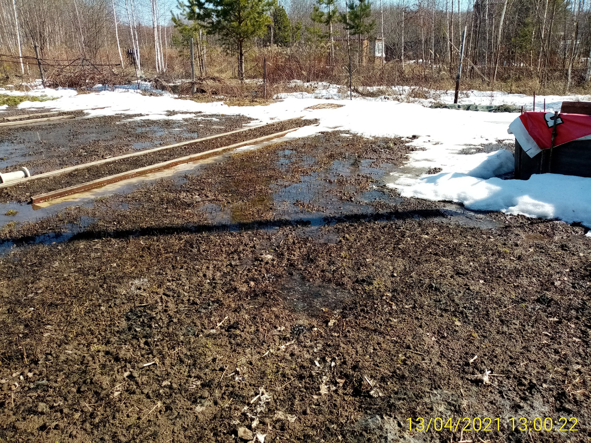 Вот так бывает весной