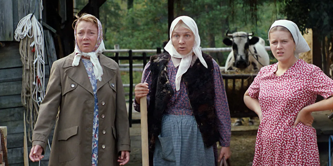 "Любовь и голуби" - фильм о больных отношениях