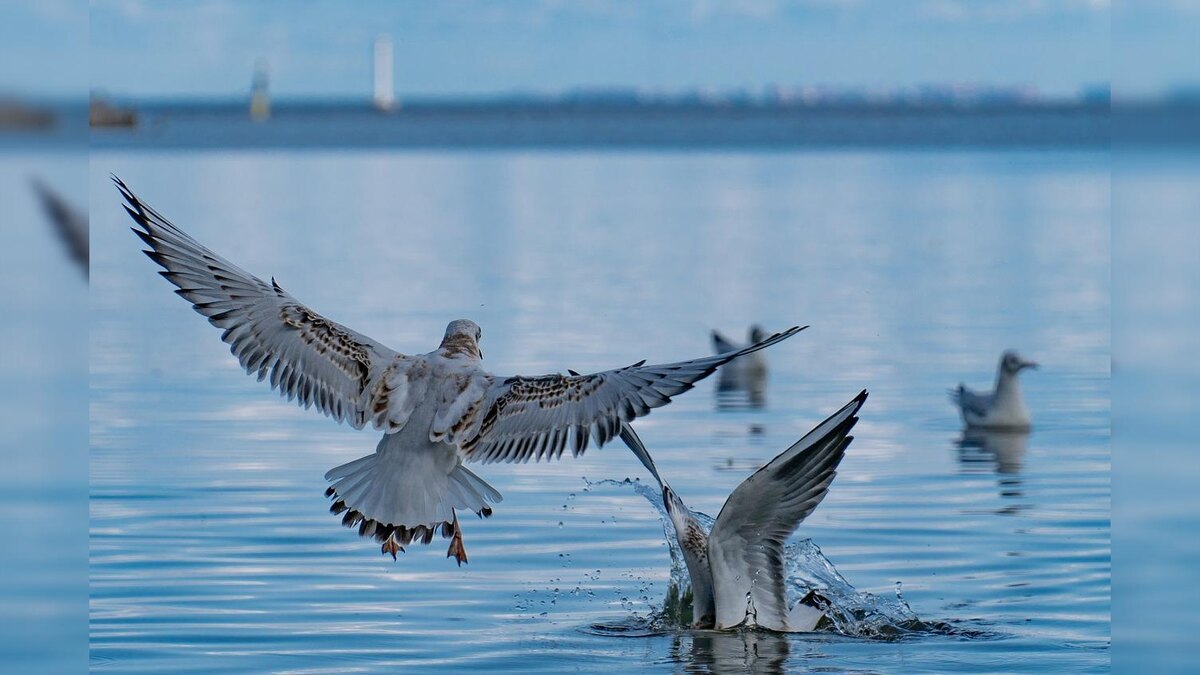    Фото: Pixabay.com