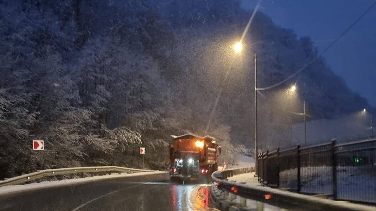    Фото: МЦУ Сочи