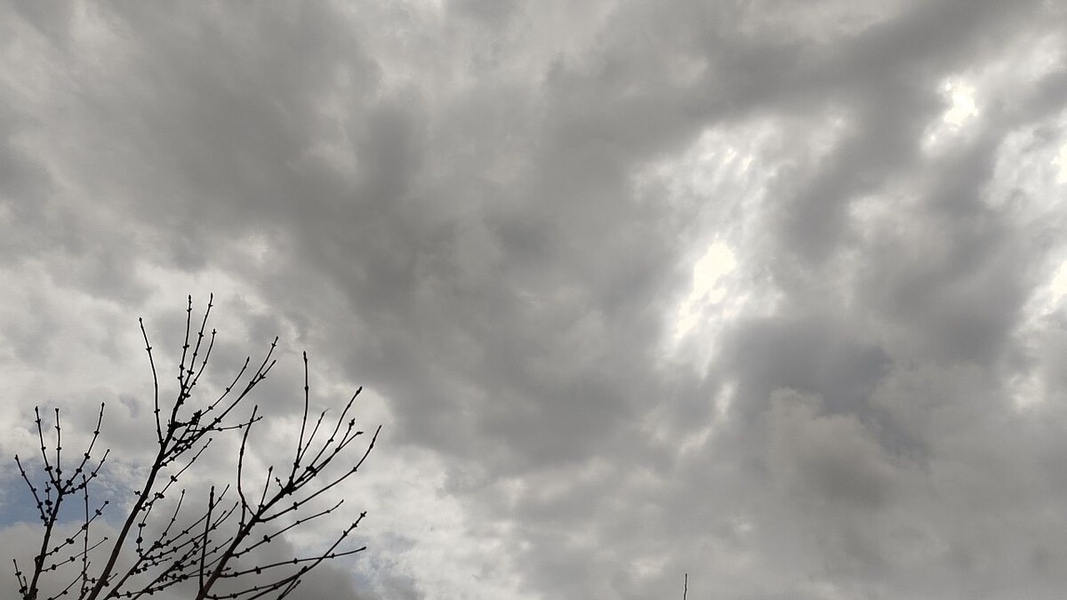    Фото: телеканал «Краснодар»