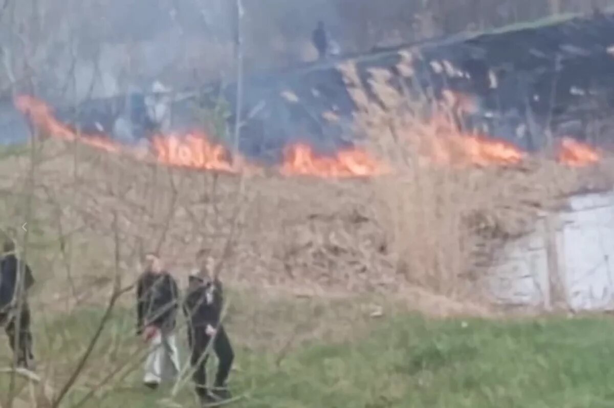    Пожар на городском пруду сняли на видео жители волгоградского Котово
