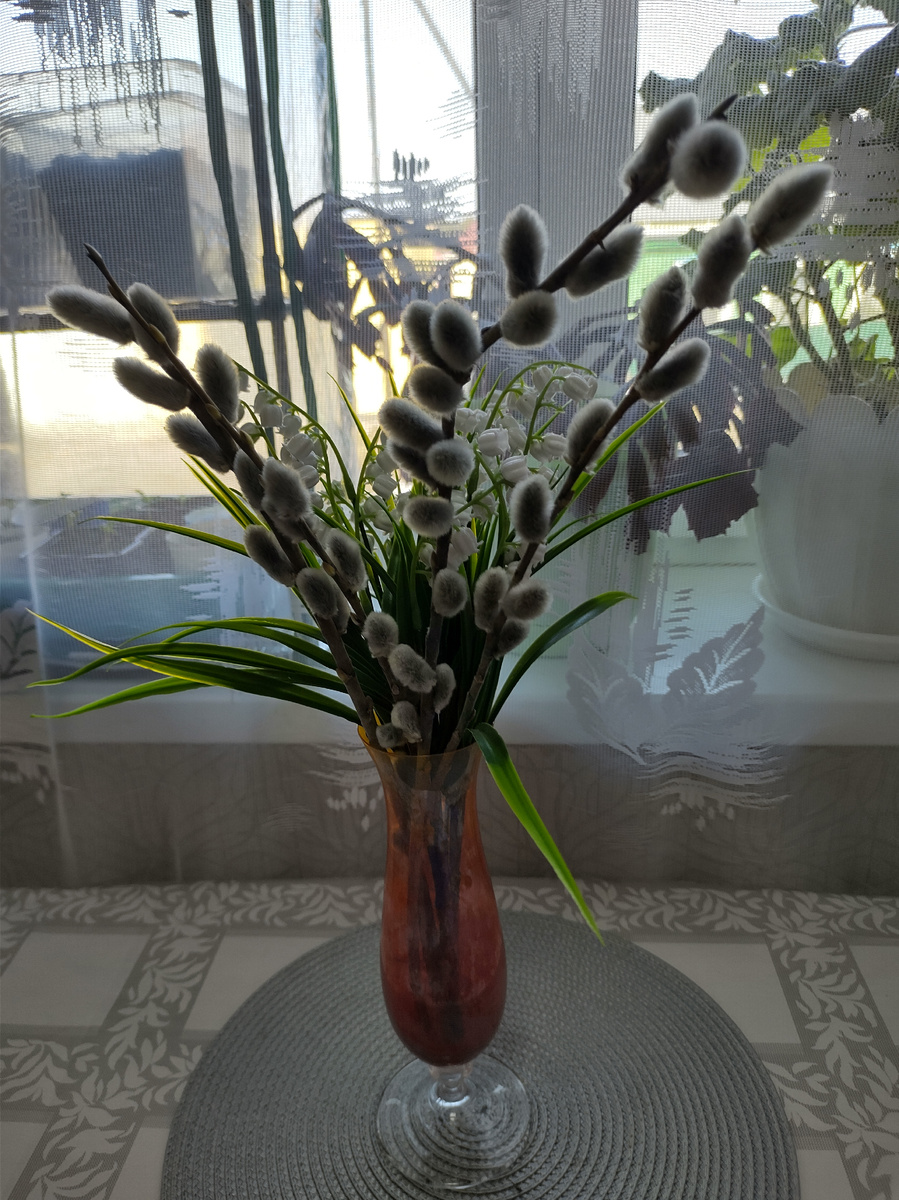 Фото автора 