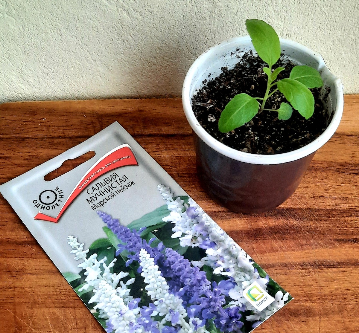 Фото автора.