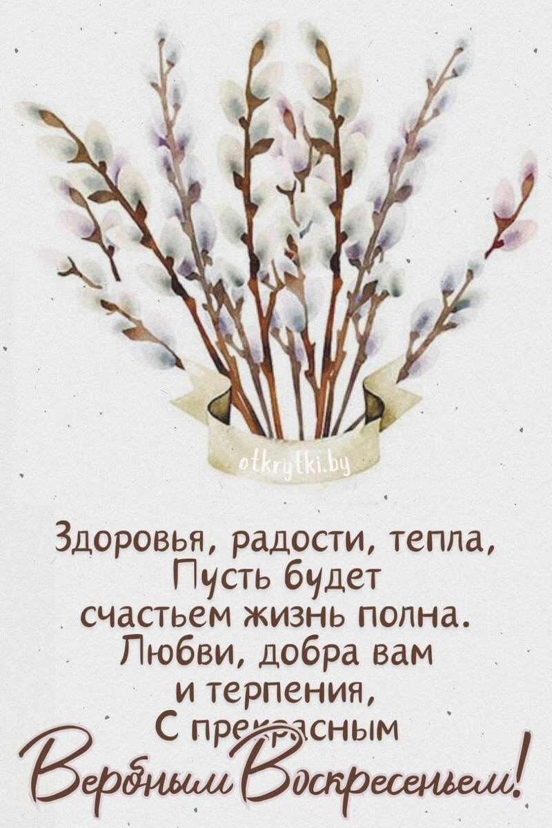 Фото из простора интернета. 