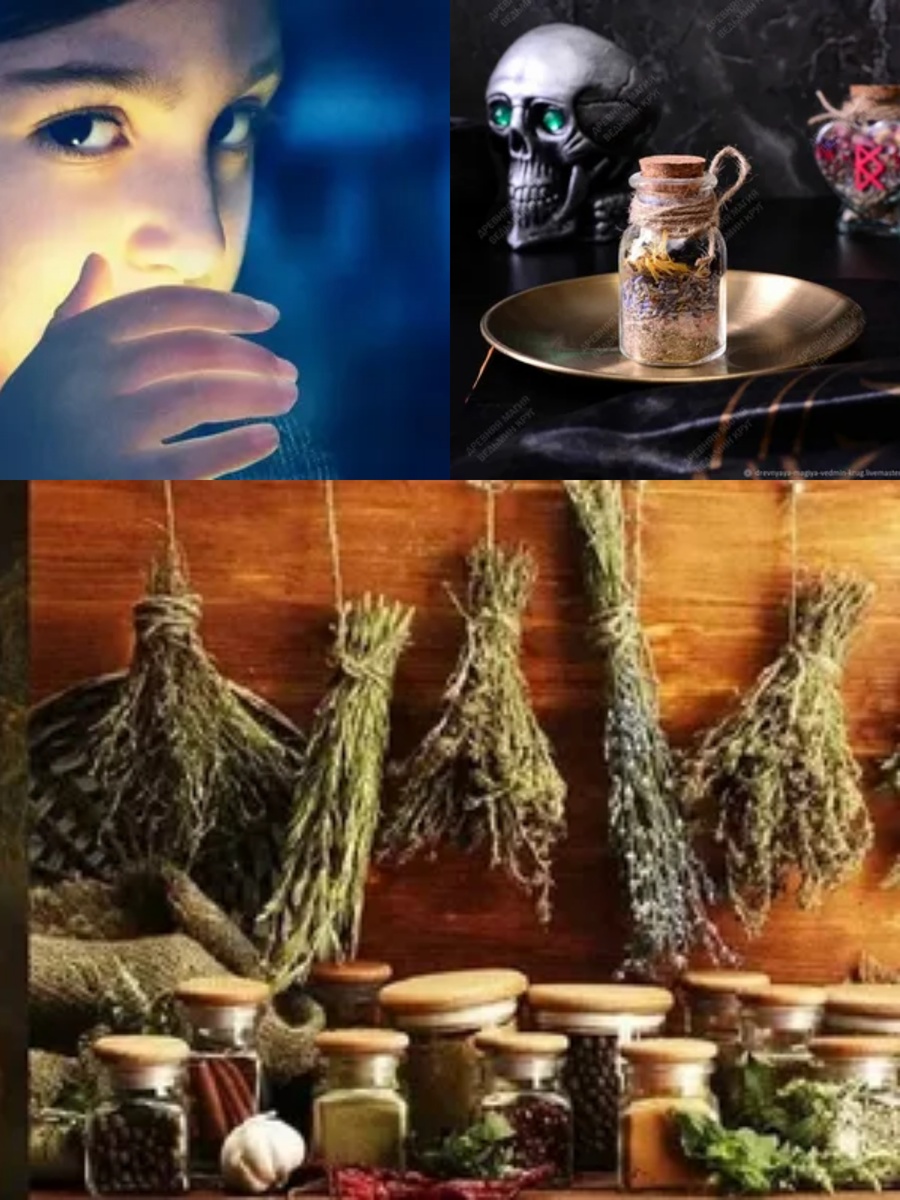 Фотоколлаж автора статьи 