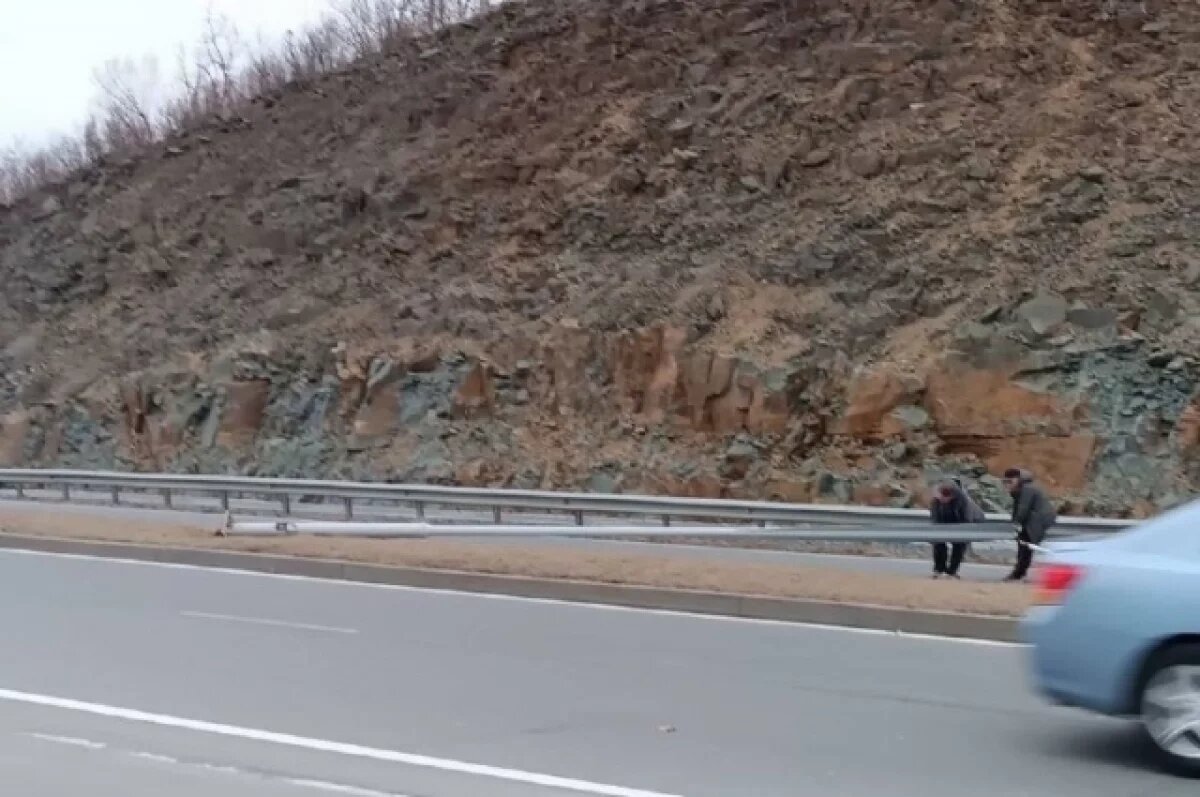    Во Владивостоке, на Русском острове, в районе остановки «ДВФУ: Южные ворота», произошло падение опоры освещения