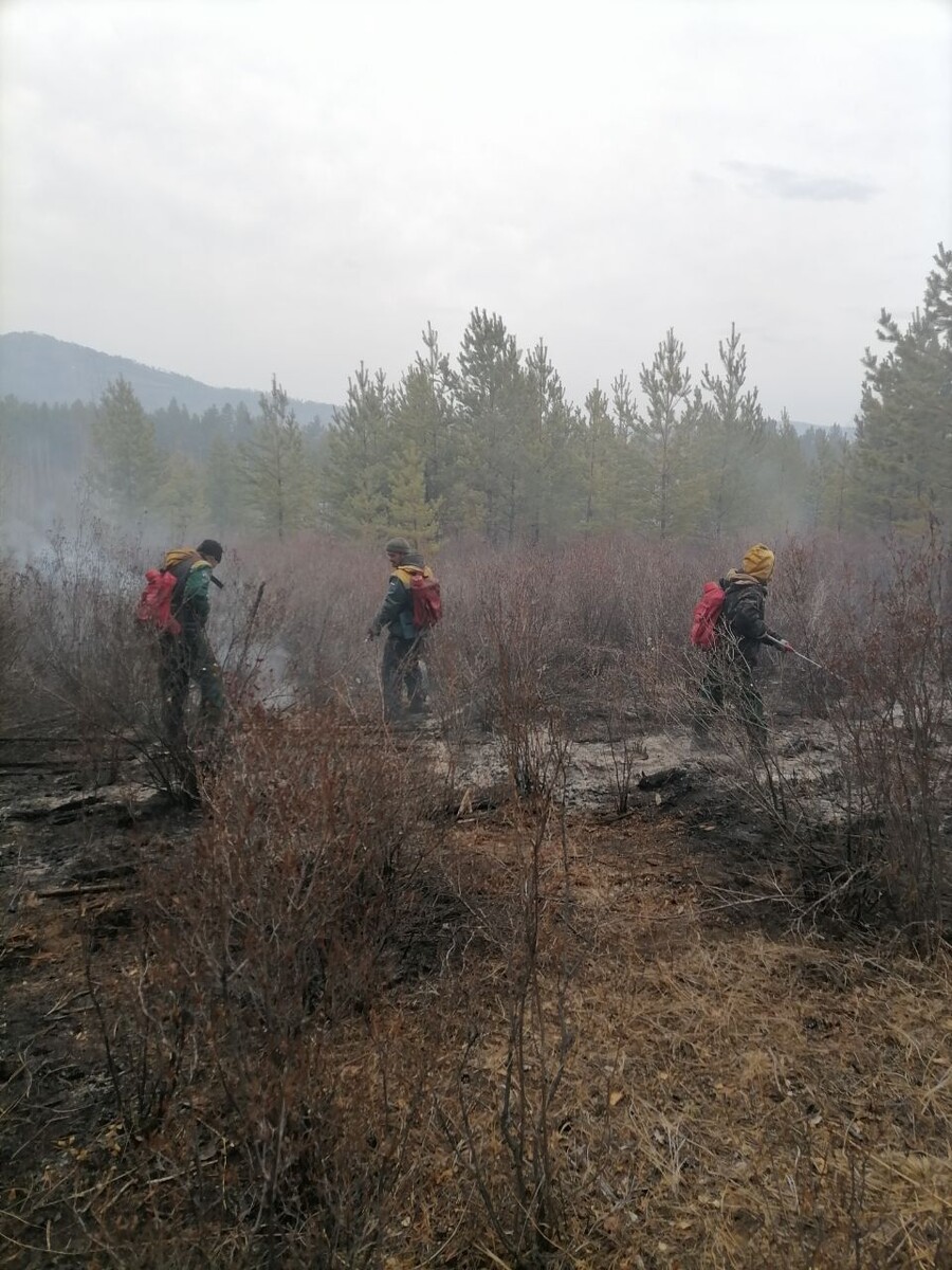    Фото: Пресс-служба Минприроды Забайкалья   📷   Фото: Пресс-служба Минприроды Забайкалья   📷   Фото: Пресс-служба Минприроды Забайкалья