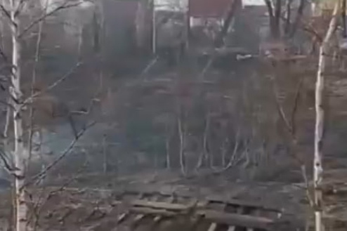    Фото и видео: МАСС