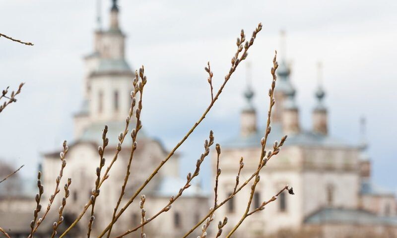    Фото pixabay.com