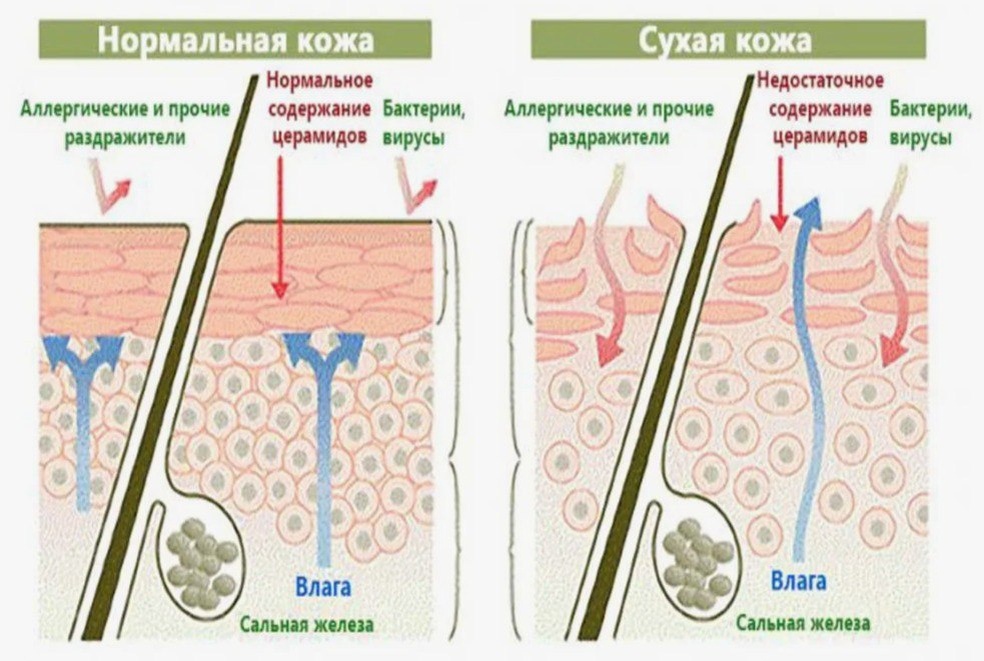 Из открытого интернет-источника