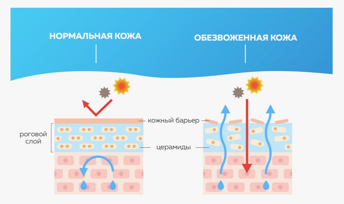 Из открытого интернет-источника