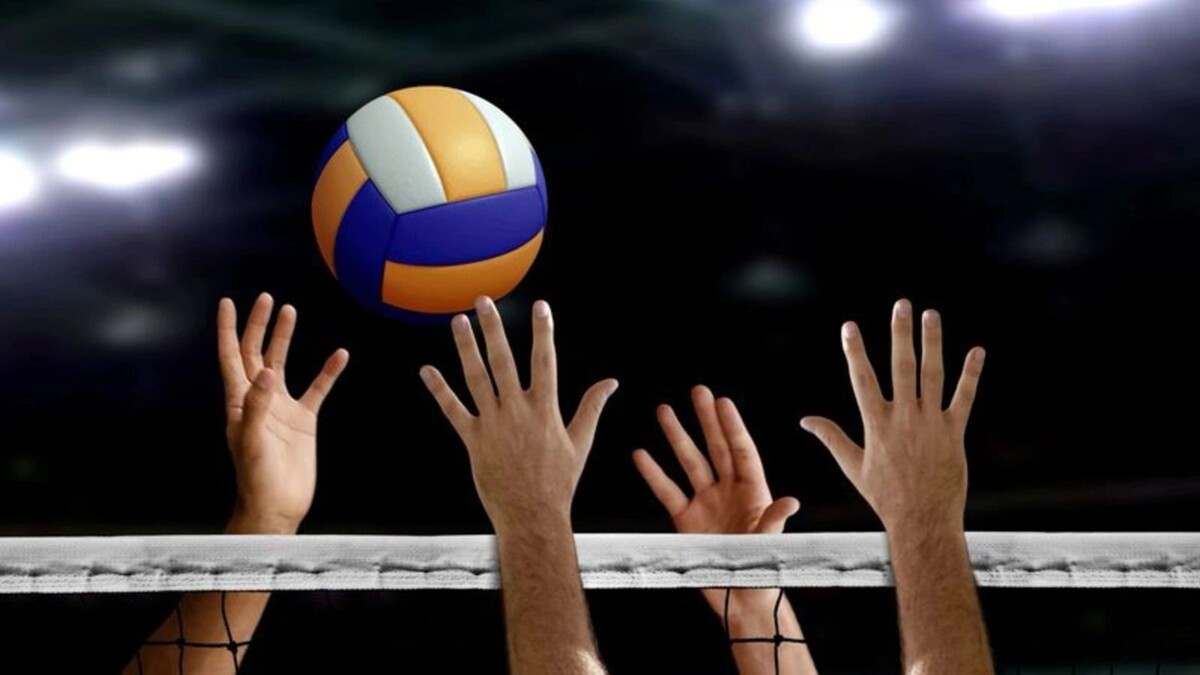    Фото: zieusin/Shutterstock/Fotodom