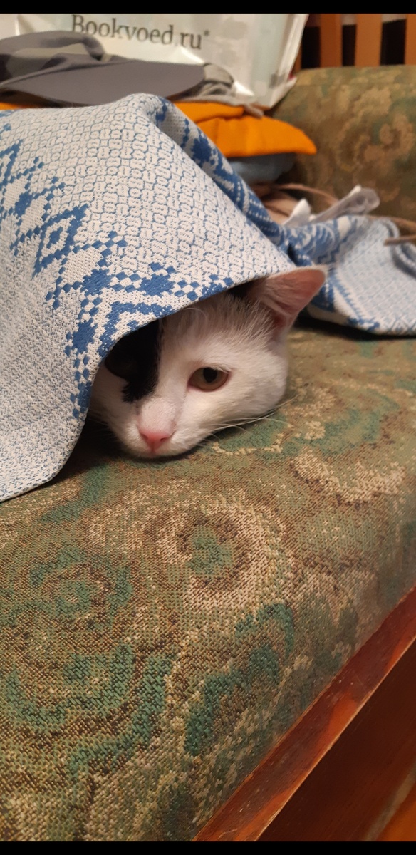 Кого там ещё принесло??