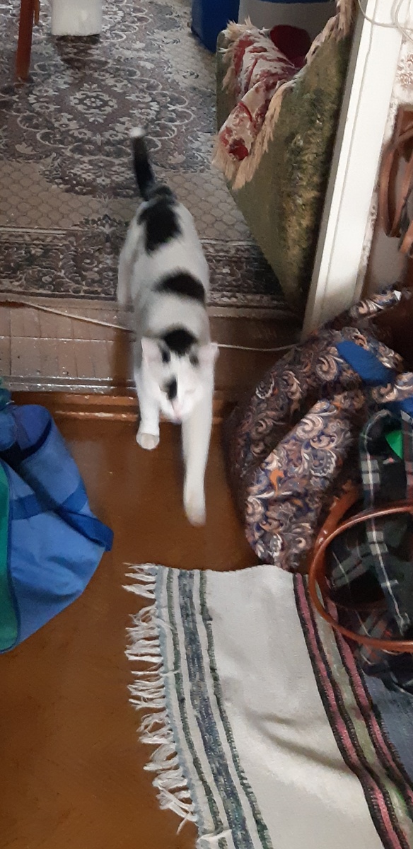 Дратути! Вы надолго?