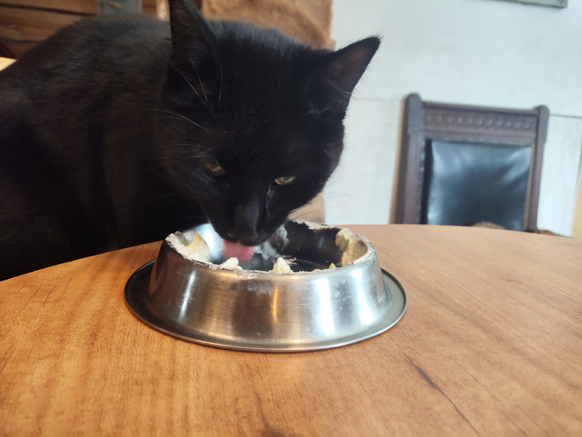 Смазка котов свежевзбитым сливочным маслом. 