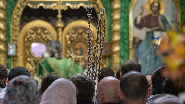    © РИА Новости Крым . Дмитрий Макеев