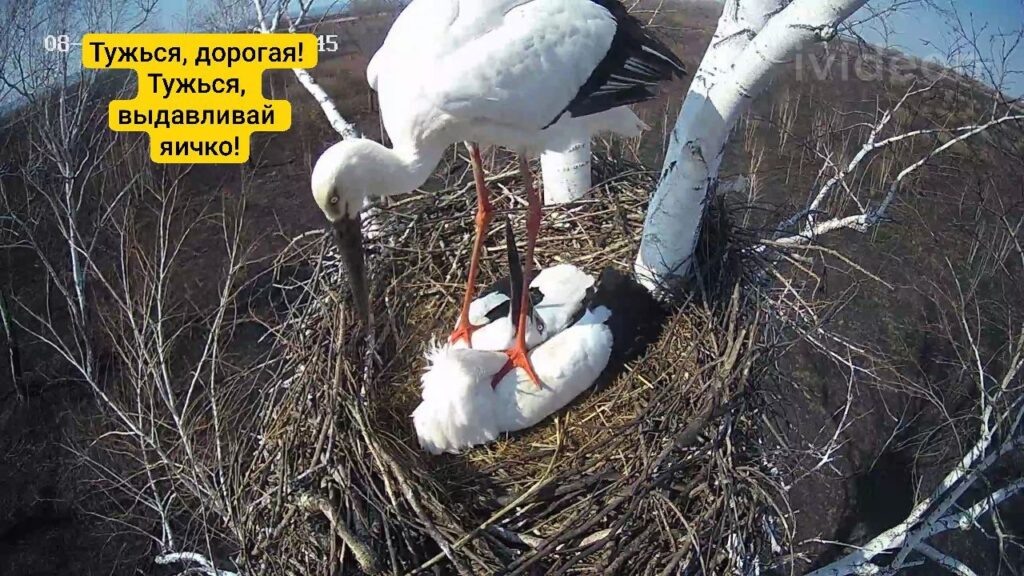    Фото: Антон Сасин