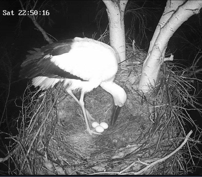    Фото: Антон Сасин