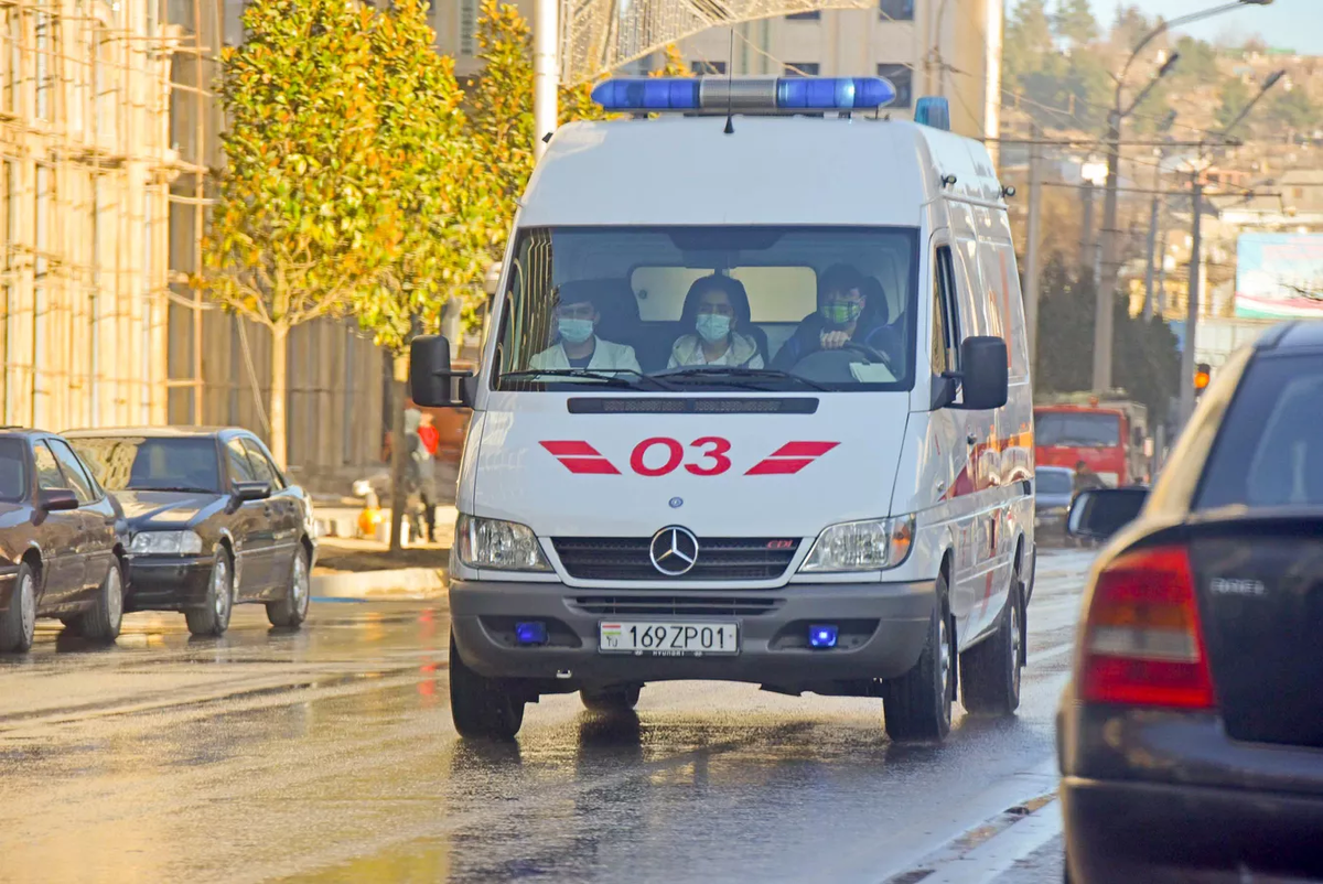 © Sputnik / Амир Исаев