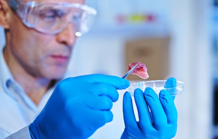    Shutterstock/FOTODOM