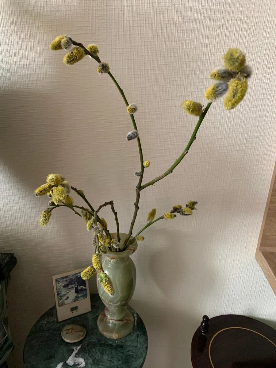 В вербное воскресение в прошлом году-фото мое.