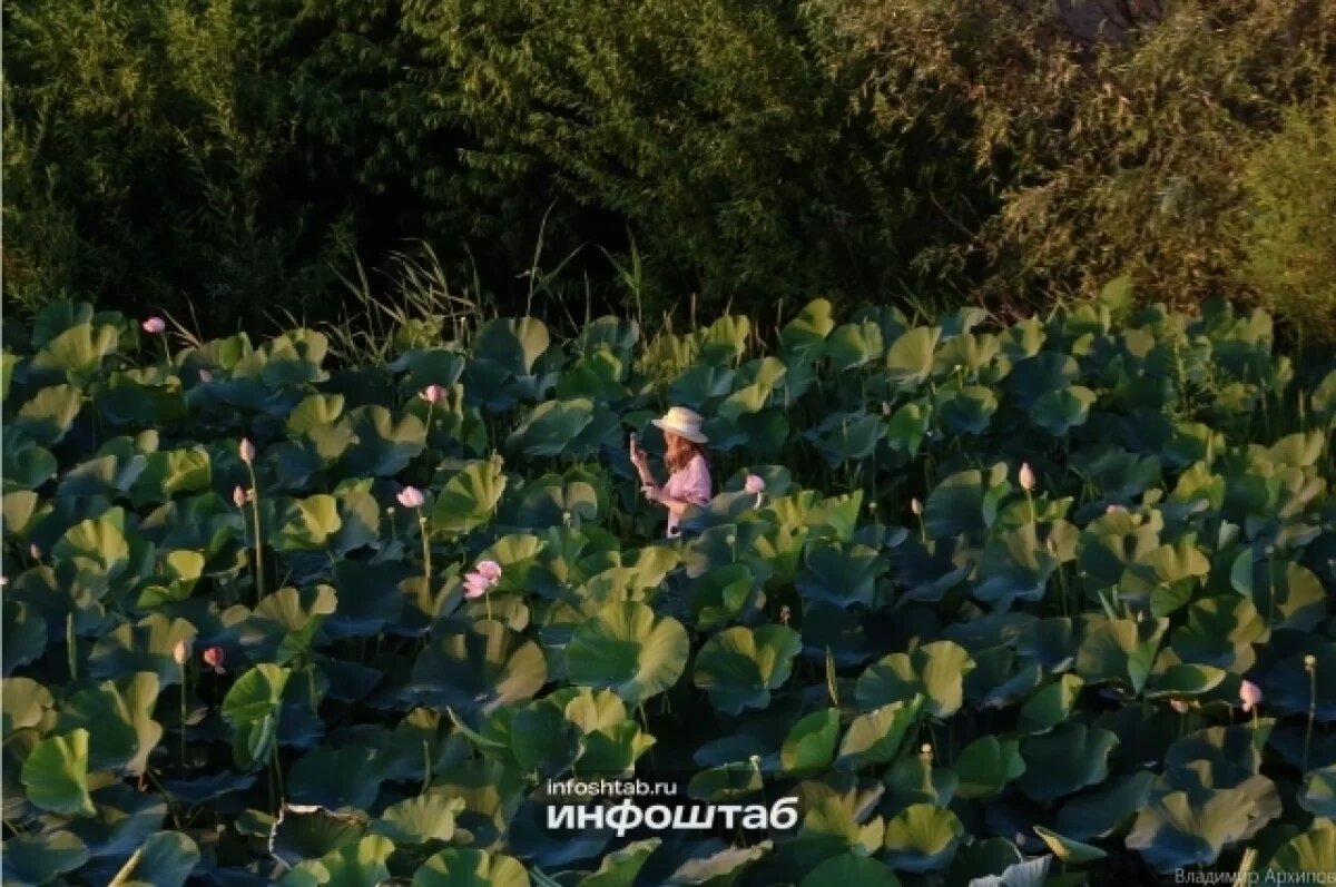    Астраханской области нужна большая вода