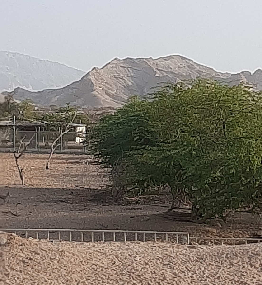 На территории зоопарка