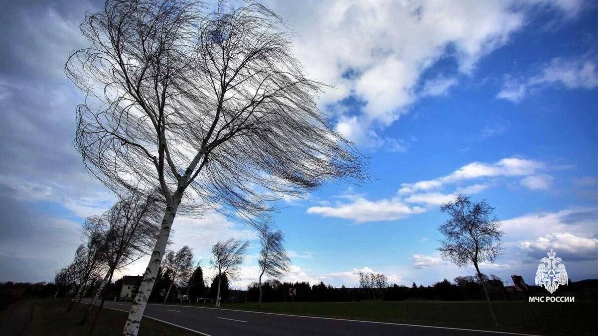    Жителей Башкортостана предупредили о сильном ветре