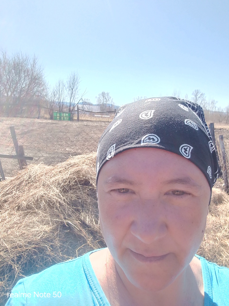 Сено которое перенесла.