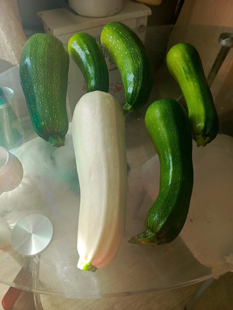 мои кабачки