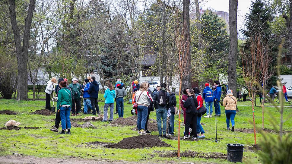 Фото: пресс-служба администрации Ростова-на-Дону