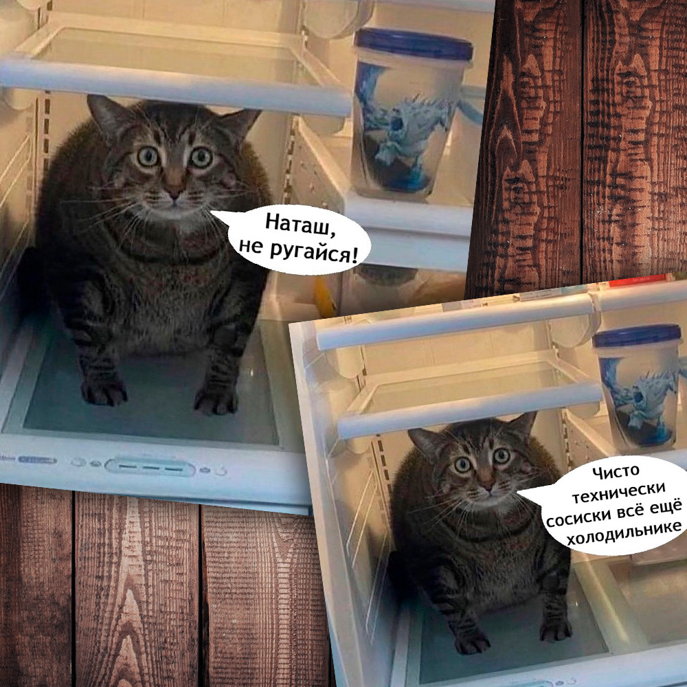 Немножко юмора =) (фото с просторов интернета)