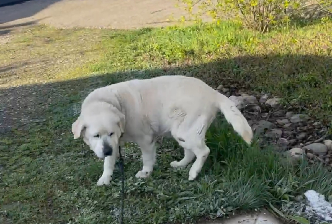 Наш Леонтий