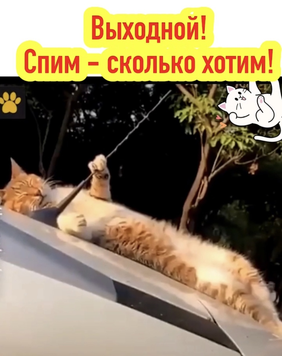 Картинку сделала сама
