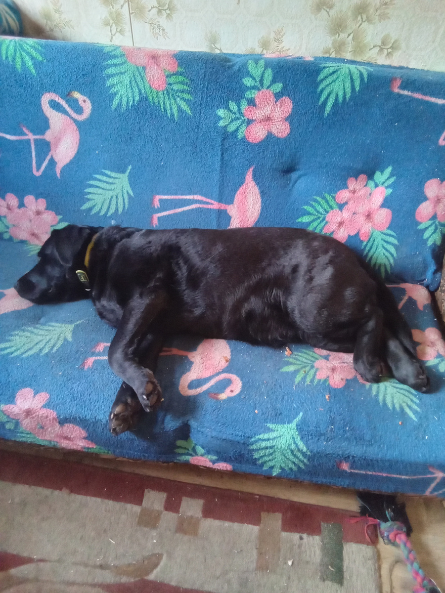 Фото автора.